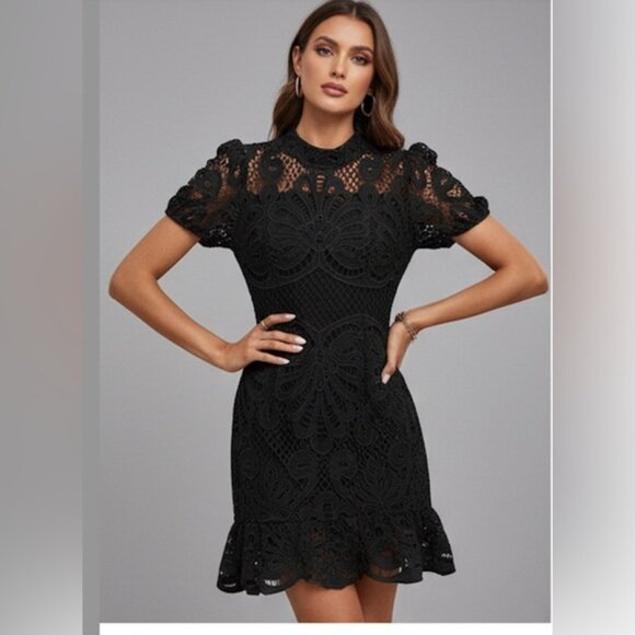 Lace Stand Collar Dress With Ruffle Hem Black - Picture 3 of 6